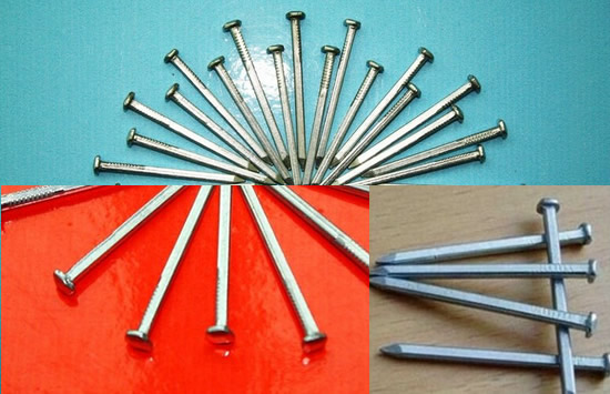 Galvanized Steel Common Nails for Boat Building